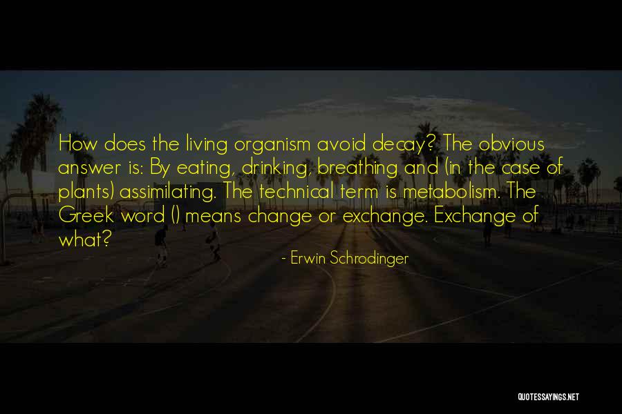 Schrodinger's Quotes By Erwin Schrodinger Schrodinger's Quotes By Erwin Schrodinger