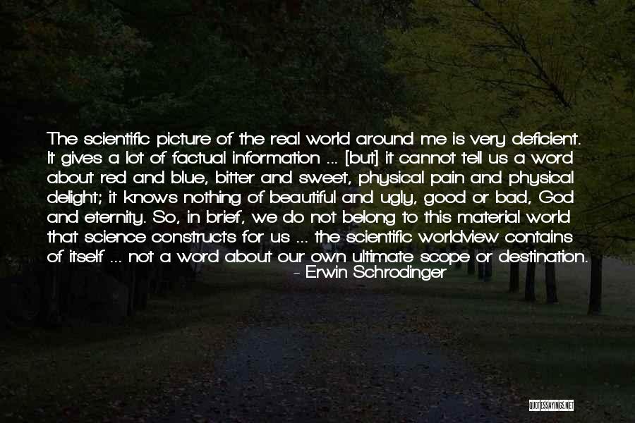 Schrodinger's Quotes By Erwin Schrodinger Schrodinger's Quotes By Erwin Schrodinger