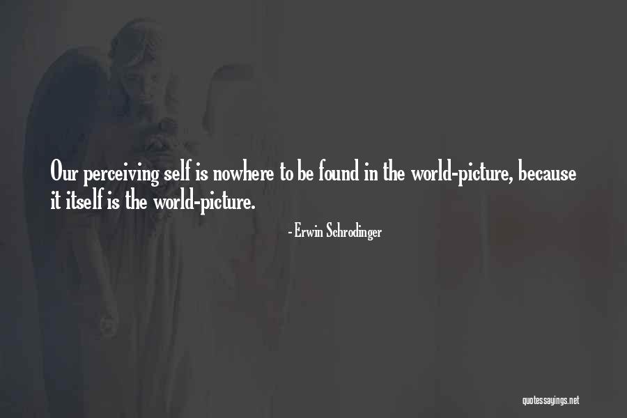 Schrodinger's Quotes By Erwin Schrodinger Schrodinger's Quotes By Erwin Schrodinger