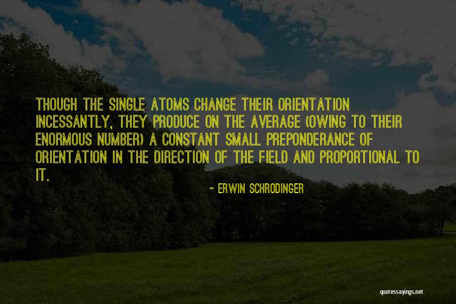 Schrodinger's Quotes By Erwin Schrodinger Schrodinger's Quotes By Erwin Schrodinger