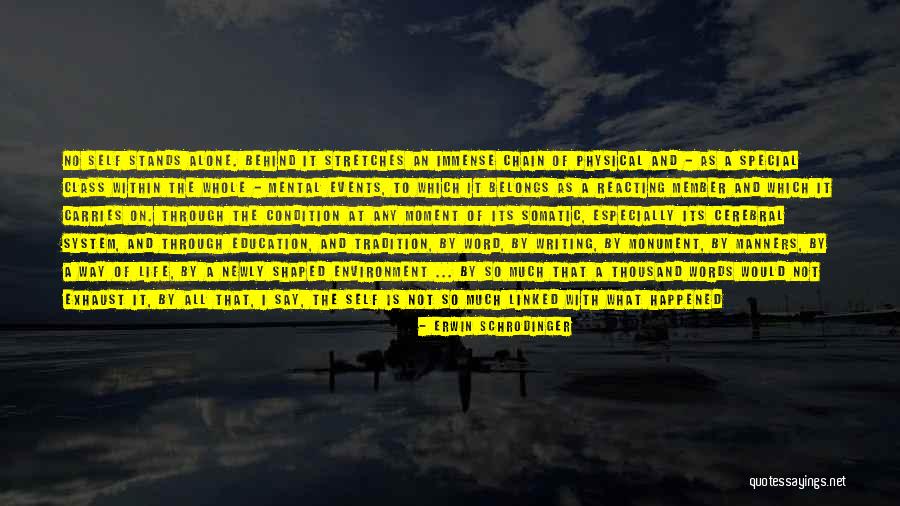 Schrodinger's Quotes By Erwin Schrodinger Schrodinger's Quotes By Erwin Schrodinger