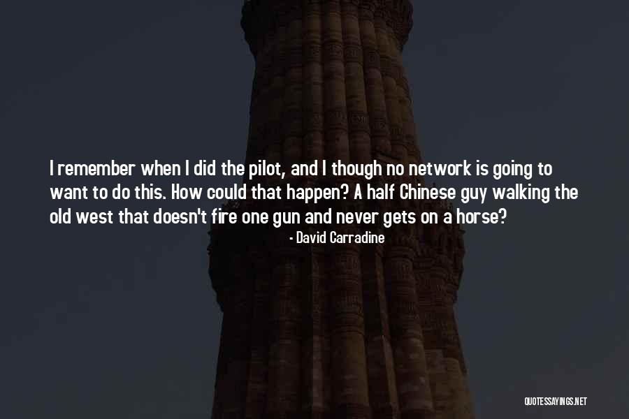 Schroedingers Quotes By David Carradine Schroedingers Quotes By David Carradine