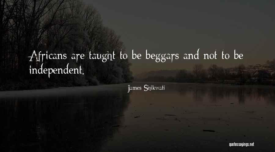 Schronce Used Parts Quotes By James Shikwati Schronce Used Parts Quotes By James Shikwati