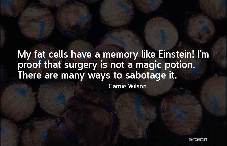 Schroth Barcelona Quotes By Carnie Wilson Schroth Barcelona Quotes By Carnie Wilson