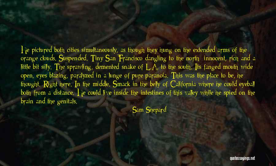 Schrotter Drawing Quotes By Sam Shepard Schrotter Drawing Quotes By Sam Shepard