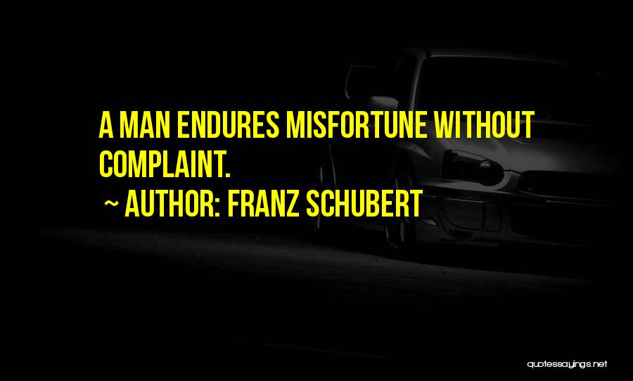 Schubert Quotes By Franz Schubert