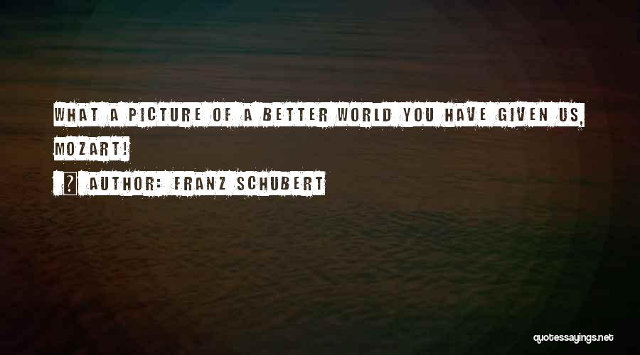 Schubert Quotes By Franz Schubert