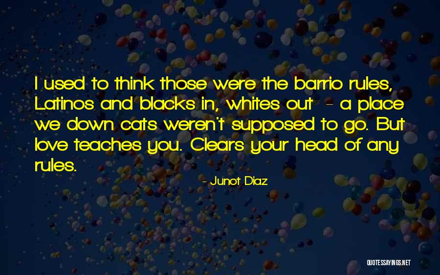 Schuemann Glock Quotes By Junot Diaz Schuemann Glock Quotes By Junot Diaz