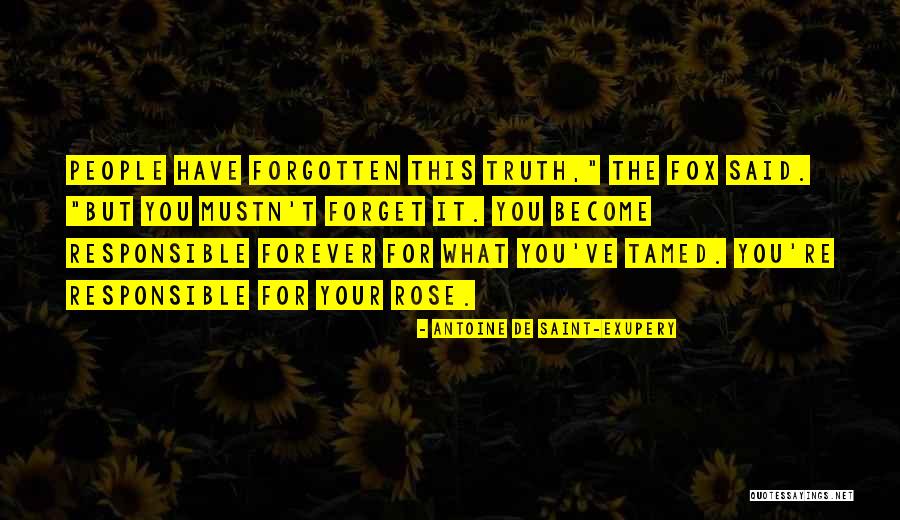 Schuettersmuehle Quotes By Antoine De Saint-Exupery Schuettersmuehle Quotes By Antoine De Saint-Exupery