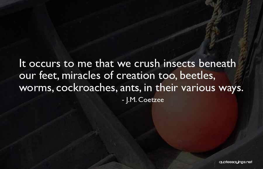 Schuetzen Park Quotes By J.M. Coetzee Schuetzen Park Quotes By J.M. Coetzee
