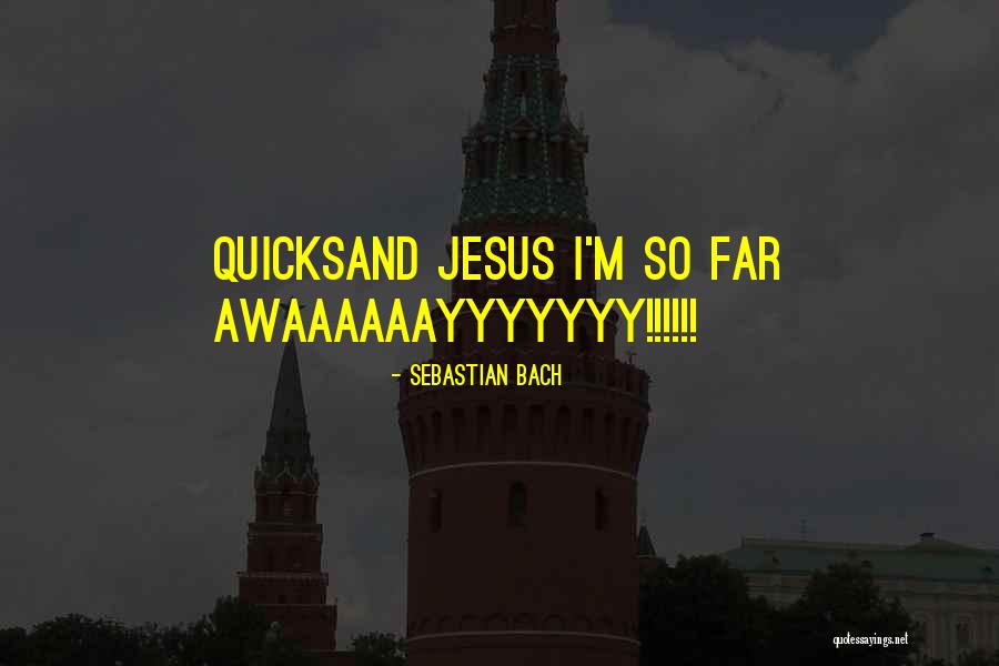 Schuilen Betekenis Quotes By Sebastian Bach