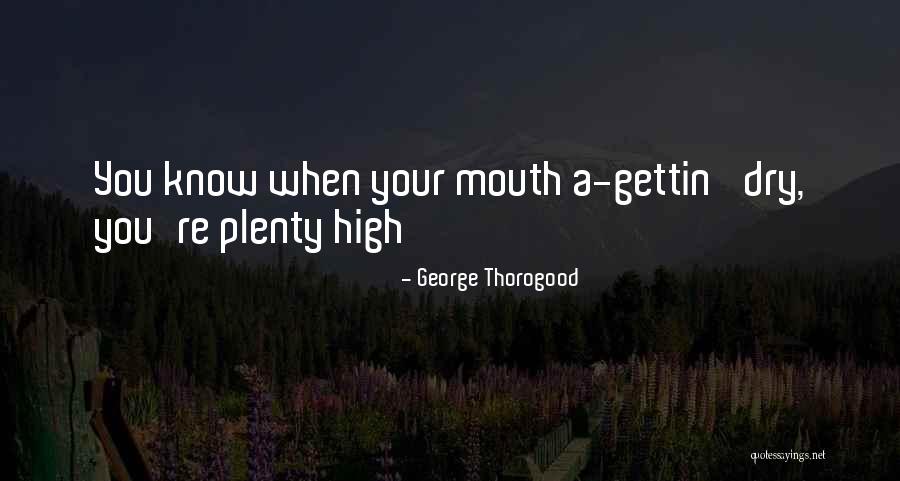 Schuilings Quotes By George Thorogood Schuilings Quotes By George Thorogood