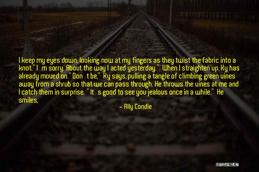 Schuldsaldoverzekering Quotes By Ally Condie Schuldsaldoverzekering Quotes By Ally Condie