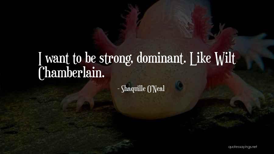 Schulke Realty Quotes By Shaquille O'Neal Schulke Realty Quotes By Shaquille O'Neal