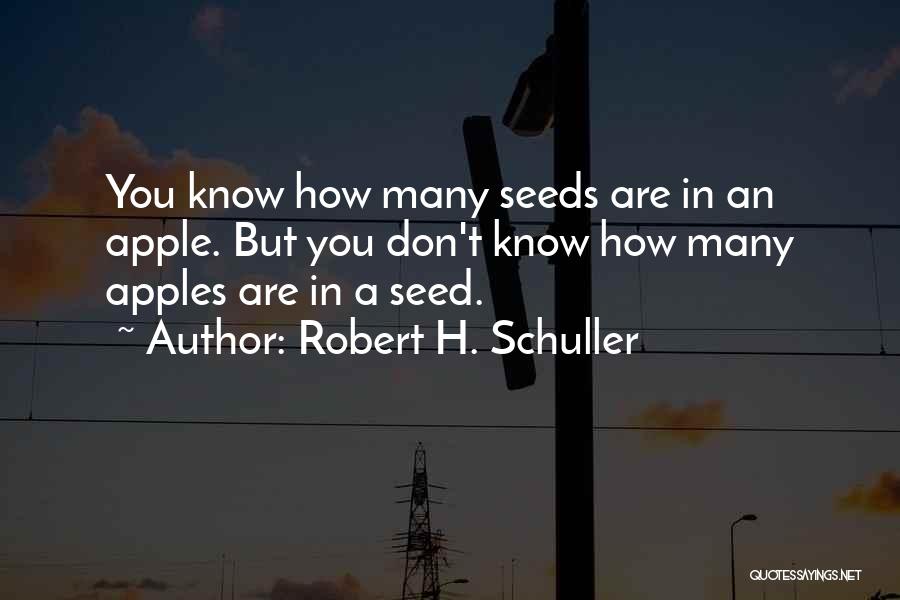 Schuller Quotes By Robert H. Schuller