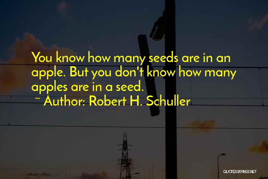 Schuller Robert Quotes By Robert H. Schuller