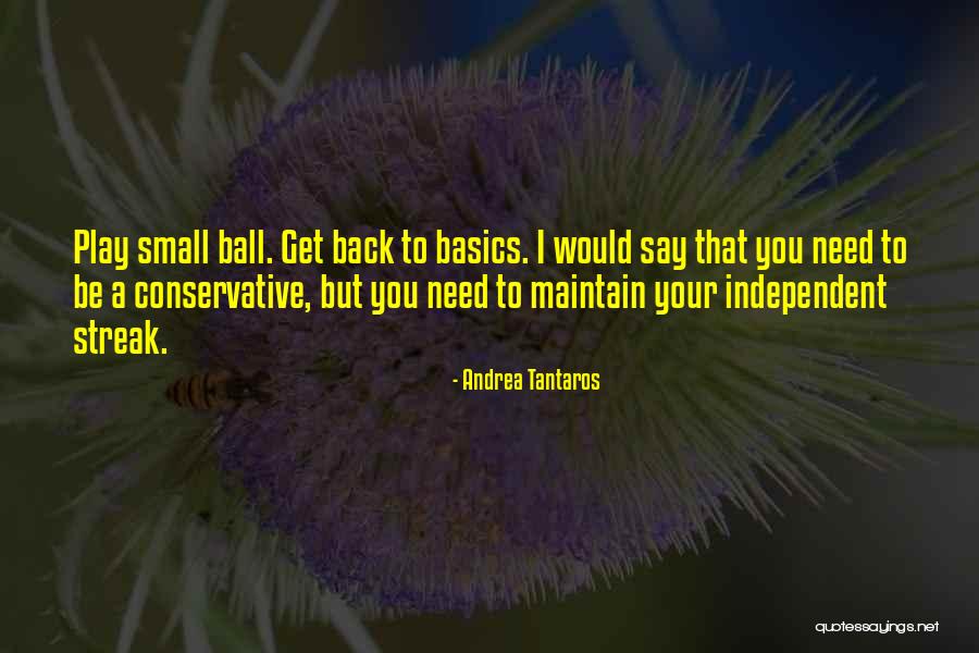 Schulman Irb Quotes By Andrea Tantaros Schulman Irb Quotes By Andrea Tantaros