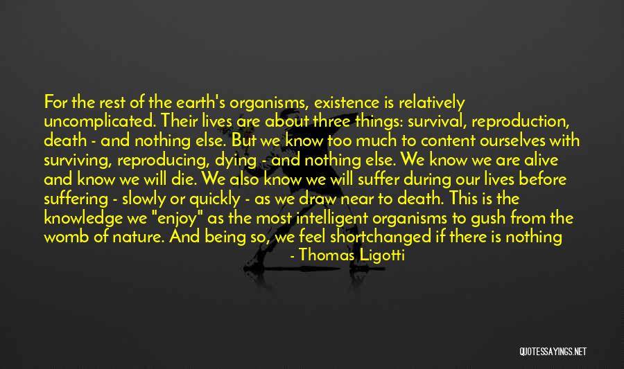 Schulmerich Chimes Quotes By Thomas Ligotti Schulmerich Chimes Quotes By Thomas Ligotti