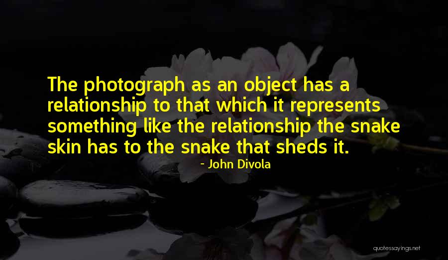 Schultheis Electric Latrobe Quotes By John Divola Schultheis Electric Latrobe Quotes By John Divola
