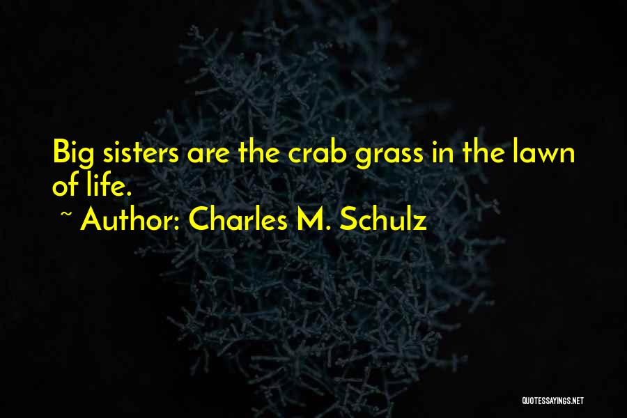 Schulz Charles Quotes By Charles M. Schulz