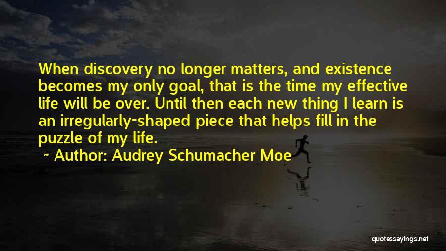 Schumacher Quotes By Audrey Schumacher Moe