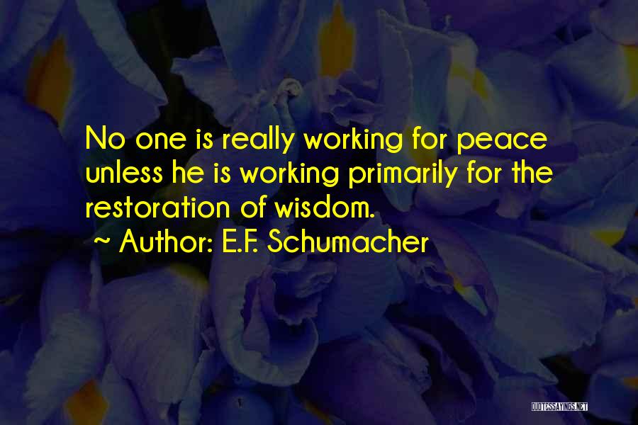 Schumacher Quotes By E.F. Schumacher