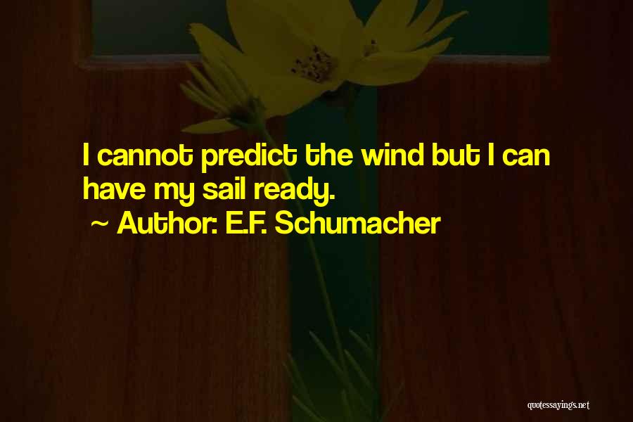 Schumacher Quotes By E.F. Schumacher