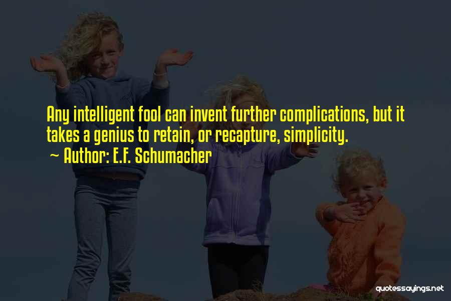 Schumacher Quotes By E.F. Schumacher