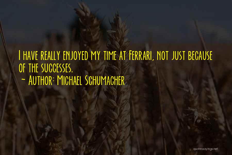 Schumacher Quotes By Michael Schumacher