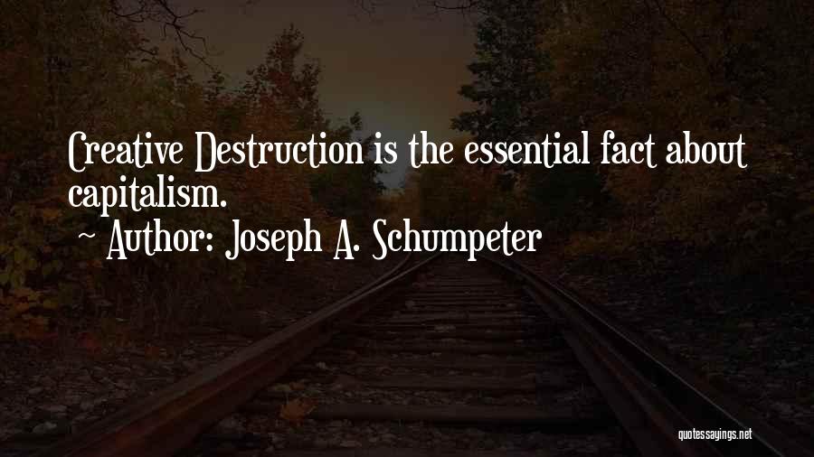 Schumpeter Creative Destruction Quotes By Joseph A. Schumpeter