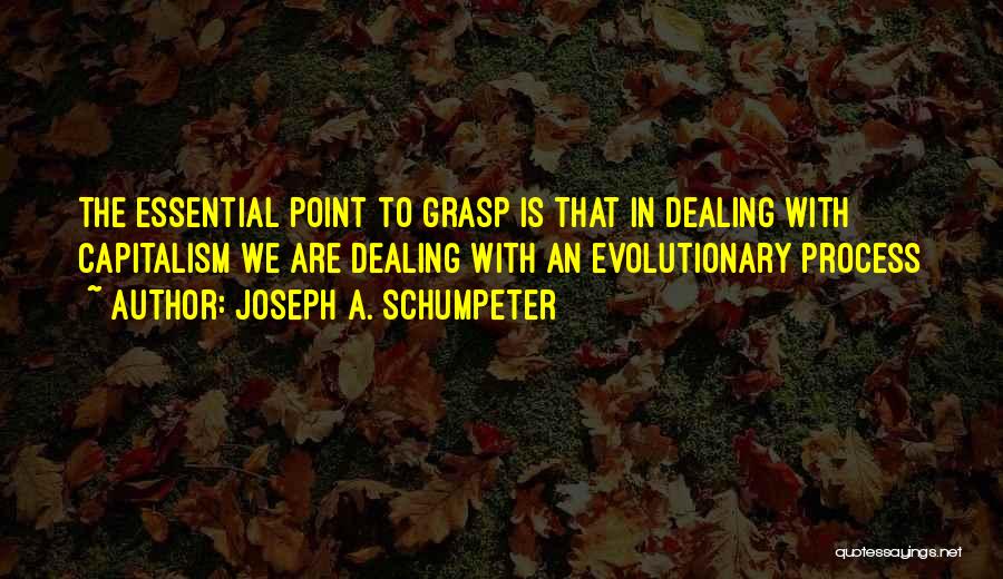 Schumpeter Creative Destruction Quotes By Joseph A. Schumpeter