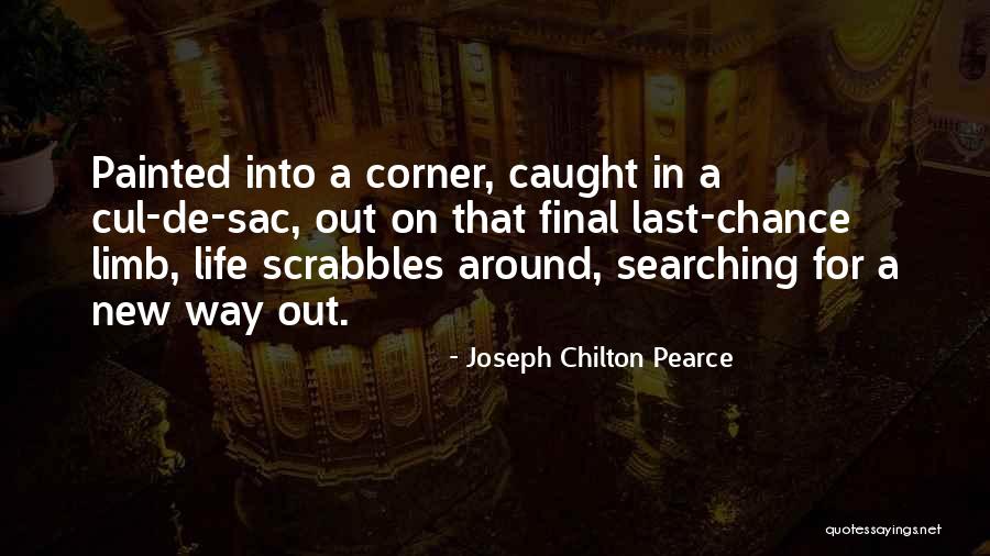 Schuneman Insurance Quotes By Joseph Chilton Pearce Schuneman Insurance Quotes By Joseph Chilton Pearce