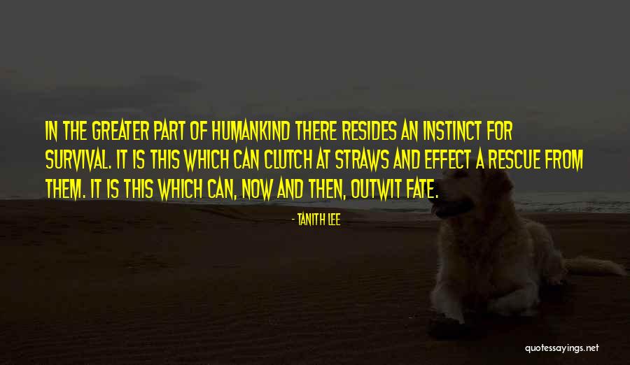Schurenberg Artist Quotes By Tanith Lee Schurenberg Artist Quotes By Tanith Lee
