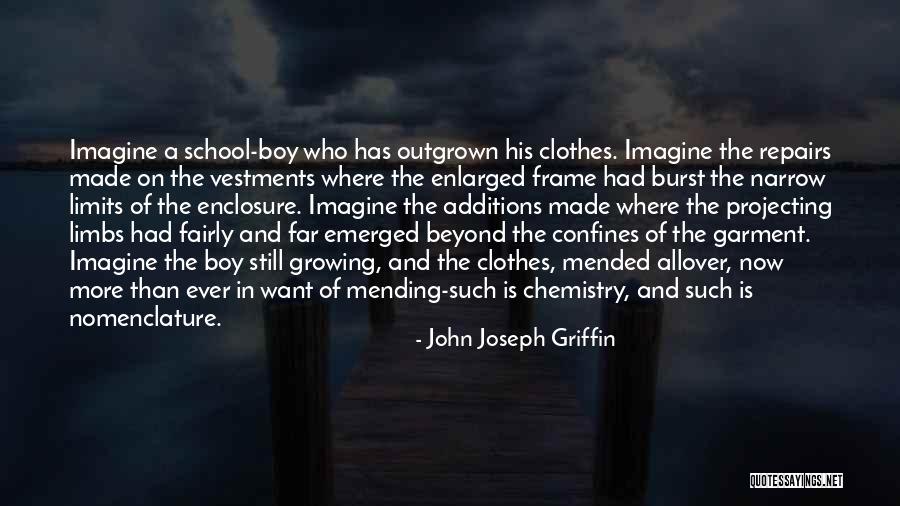 Schw Che Quotes By John Joseph Griffin Schw Che Quotes By John Joseph Griffin