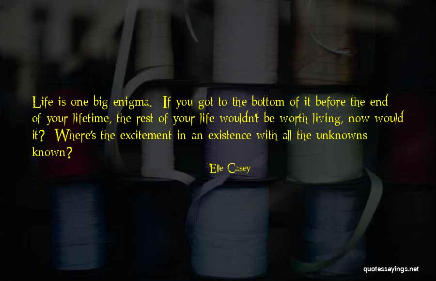 Schwacked Quotes By Elle Casey Schwacked Quotes By Elle Casey