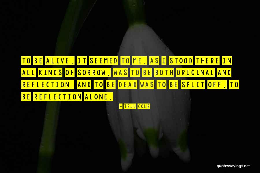 Schwaiger Quotes By Teju Cole Schwaiger Quotes By Teju Cole