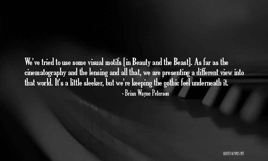 Schwandner Quotes By Brian Wayne Peterson Schwandner Quotes By Brian Wayne Peterson