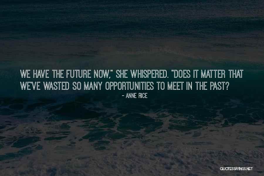 Schwandt Diamond Quotes By Anne Rice Schwandt Diamond Quotes By Anne Rice