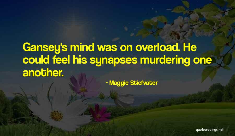 Schwandt Michigan Quotes By Maggie Stiefvater Schwandt Michigan Quotes By Maggie Stiefvater
