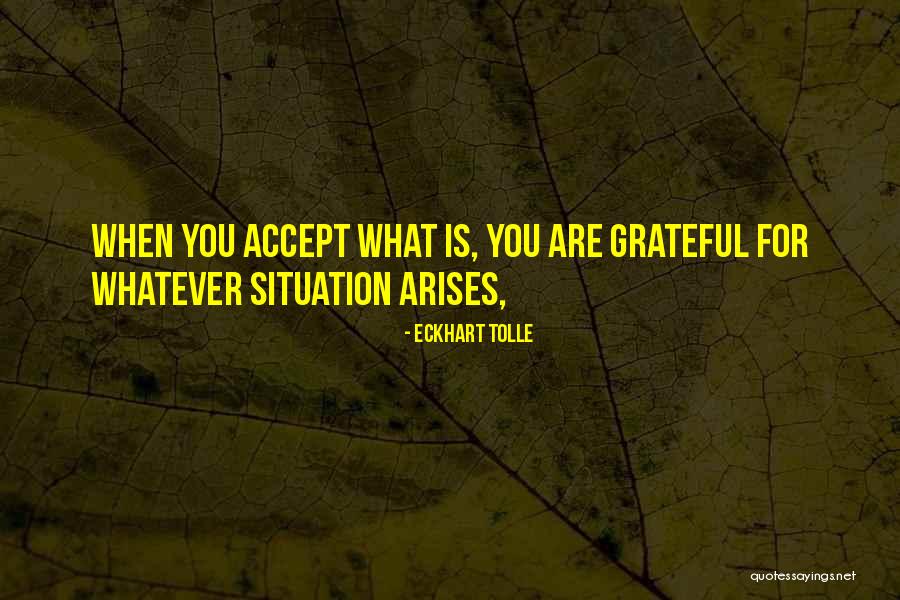 Schwarber News Quotes By Eckhart Tolle Schwarber News Quotes By Eckhart Tolle