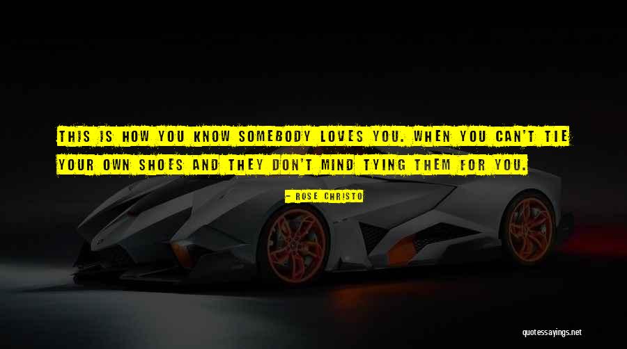 Schwartzs Trailer Quotes By Rose Christo Schwartzs Trailer Quotes By Rose Christo