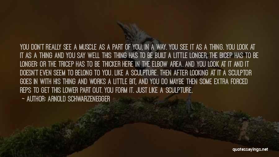 Schwarzenegger Quotes By Arnold Schwarzenegger