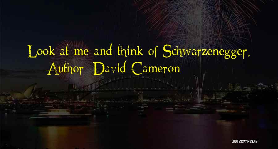 Schwarzenegger Quotes By David Cameron