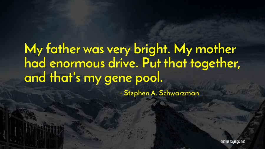 Schwarzman Quotes By Stephen A. Schwarzman Schwarzman Quotes By Stephen A. Schwarzman