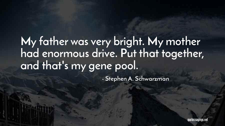 Schwarzman Stephen Quotes By Stephen A. Schwarzman Schwarzman Stephen Quotes By Stephen A. Schwarzman