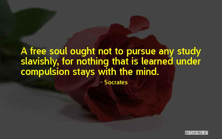 Schwebels Quotes By Socrates Schwebels Quotes By Socrates