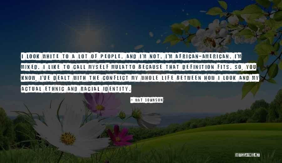 Schweichler Quotes By Mat Johnson Schweichler Quotes By Mat Johnson