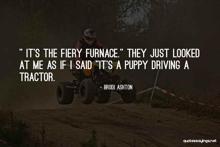 Schweighart Tigers Quotes By Brodi Ashton Schweighart Tigers Quotes By Brodi Ashton