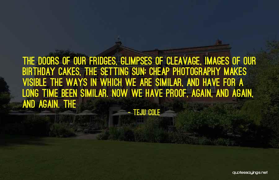 Schweisfurth Michele Quotes By Teju Cole Schweisfurth Michele Quotes By Teju Cole