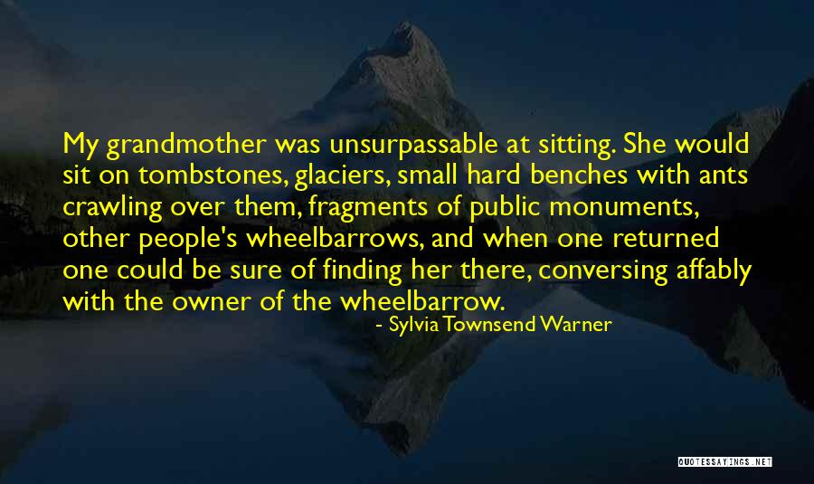 Schweisguth Quotes By Sylvia Townsend Warner Schweisguth Quotes By Sylvia Townsend Warner